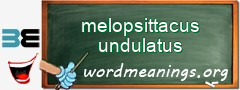 WordMeaning blackboard for melopsittacus undulatus